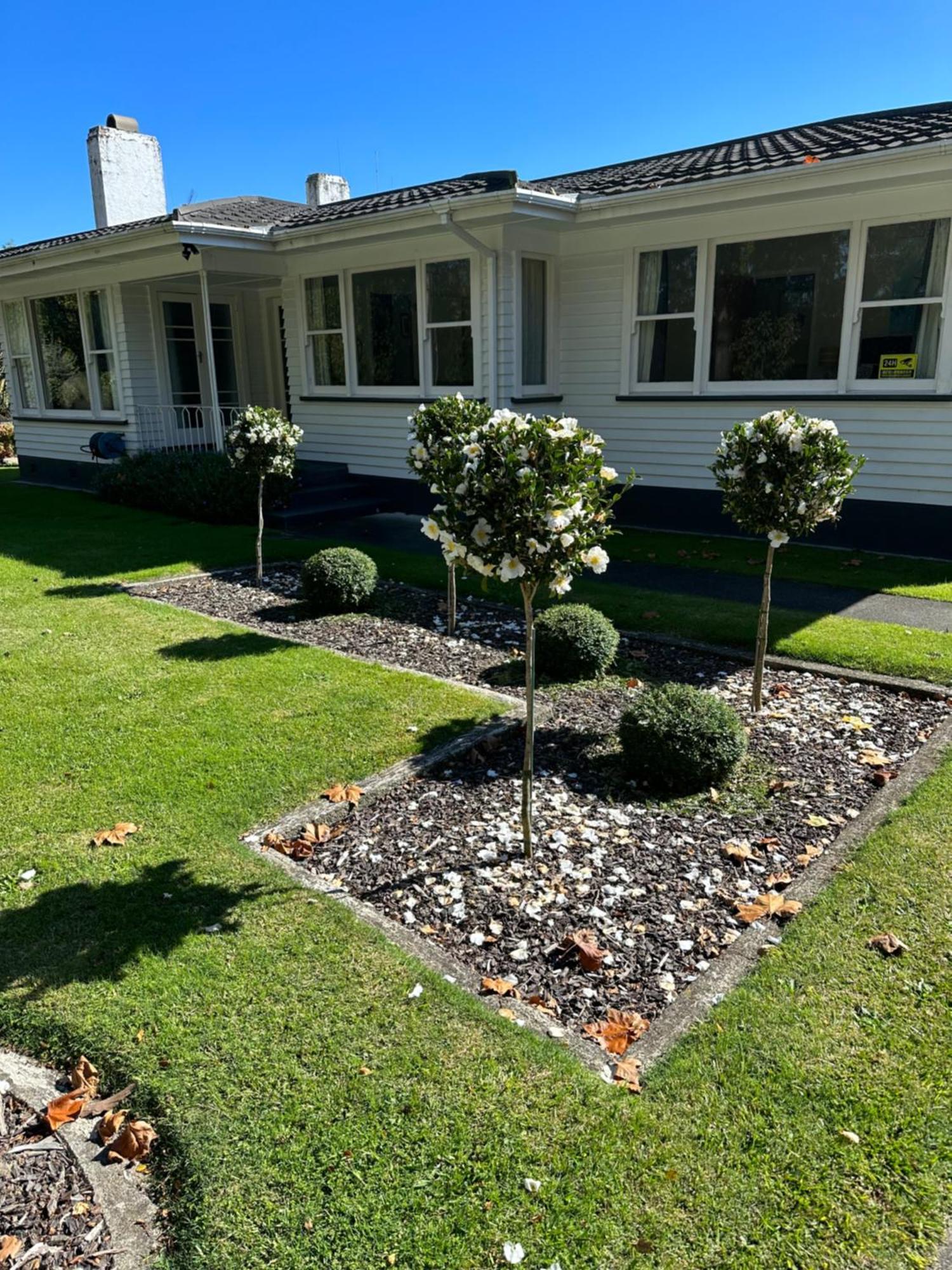 Cambridge Cottage - Self Catering Holiday House Eksteriør billede