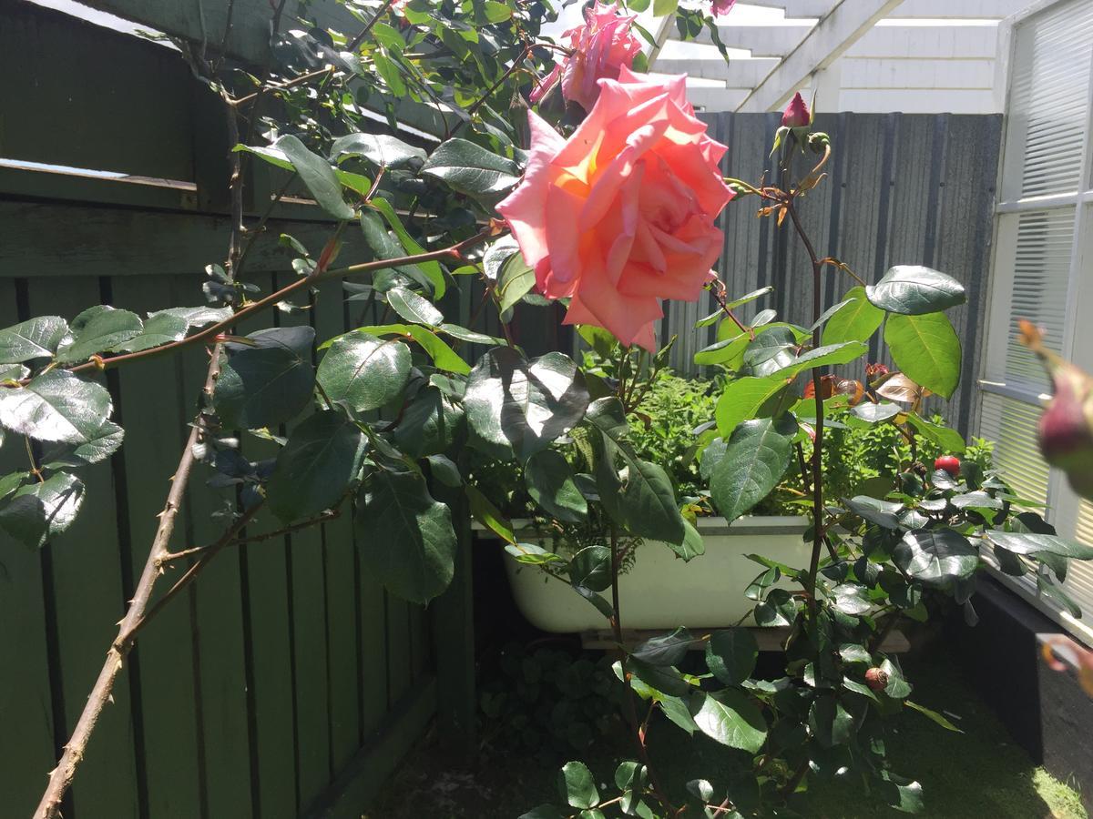 Cambridge Cottage - Self Catering Holiday House Eksteriør billede